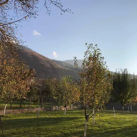 орехите Villa *