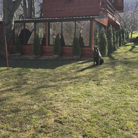 орехите *
