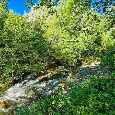 орехите Villa *